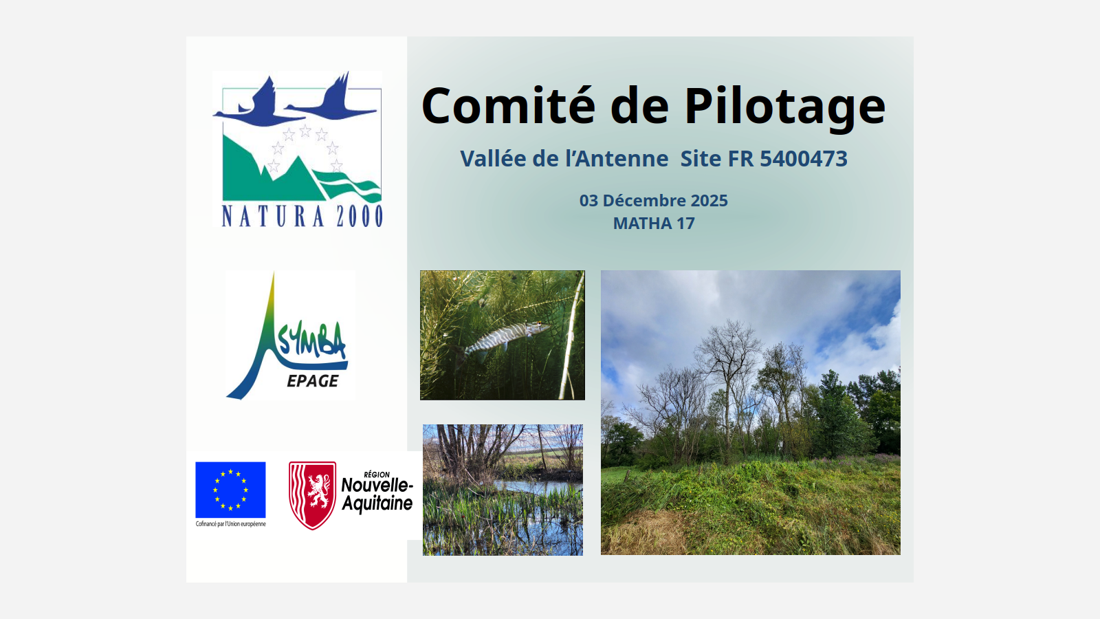 Comit de pilotage de l'anne 2025