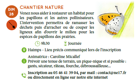chantier 2025