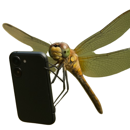 libellule selfie 